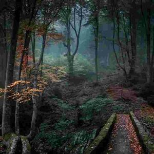 Meet your Posher, Roger